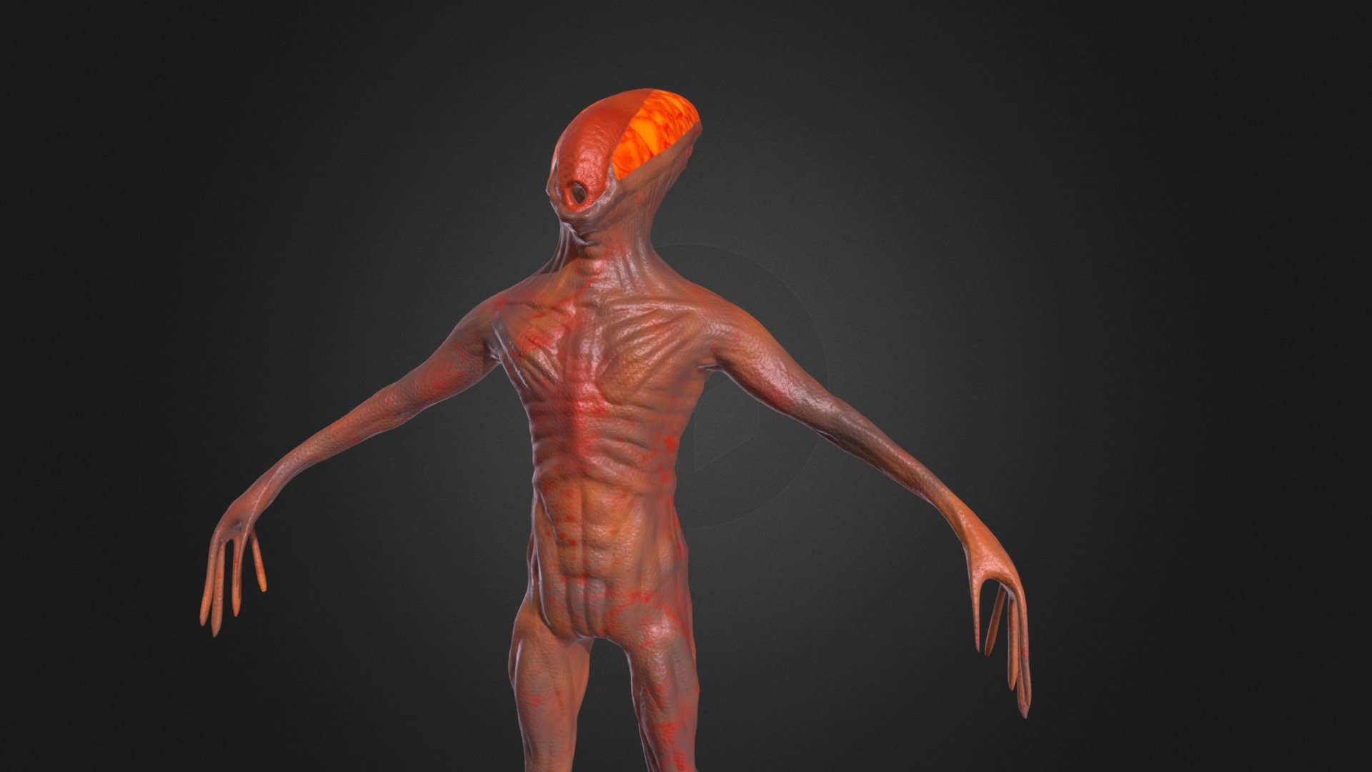 Alien Creature – Anatomical Sculpt Study - Download Free 3D model by ...