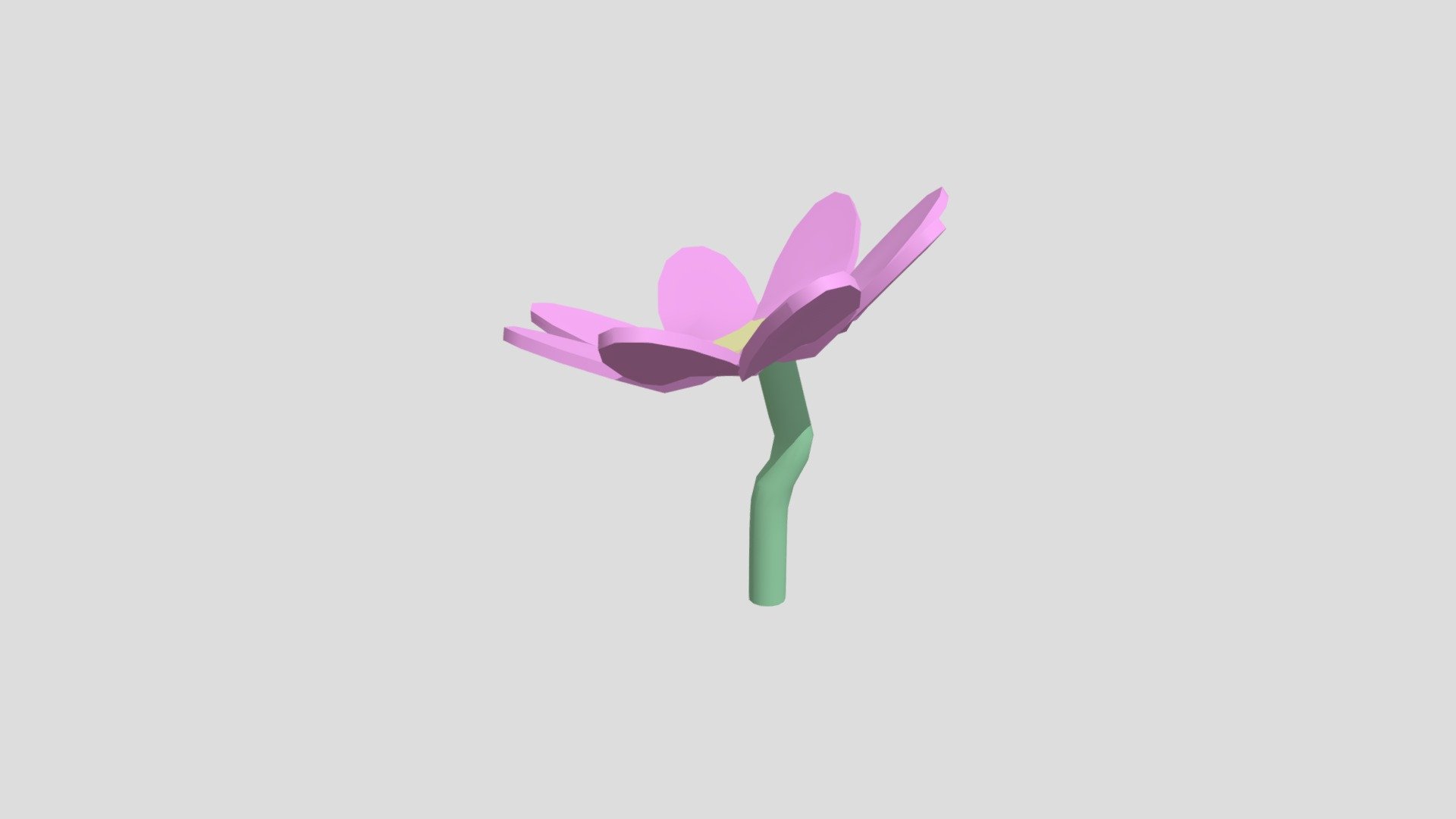 Flower Color 1