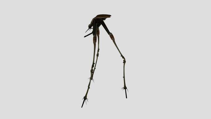 A Stripod 3D Model