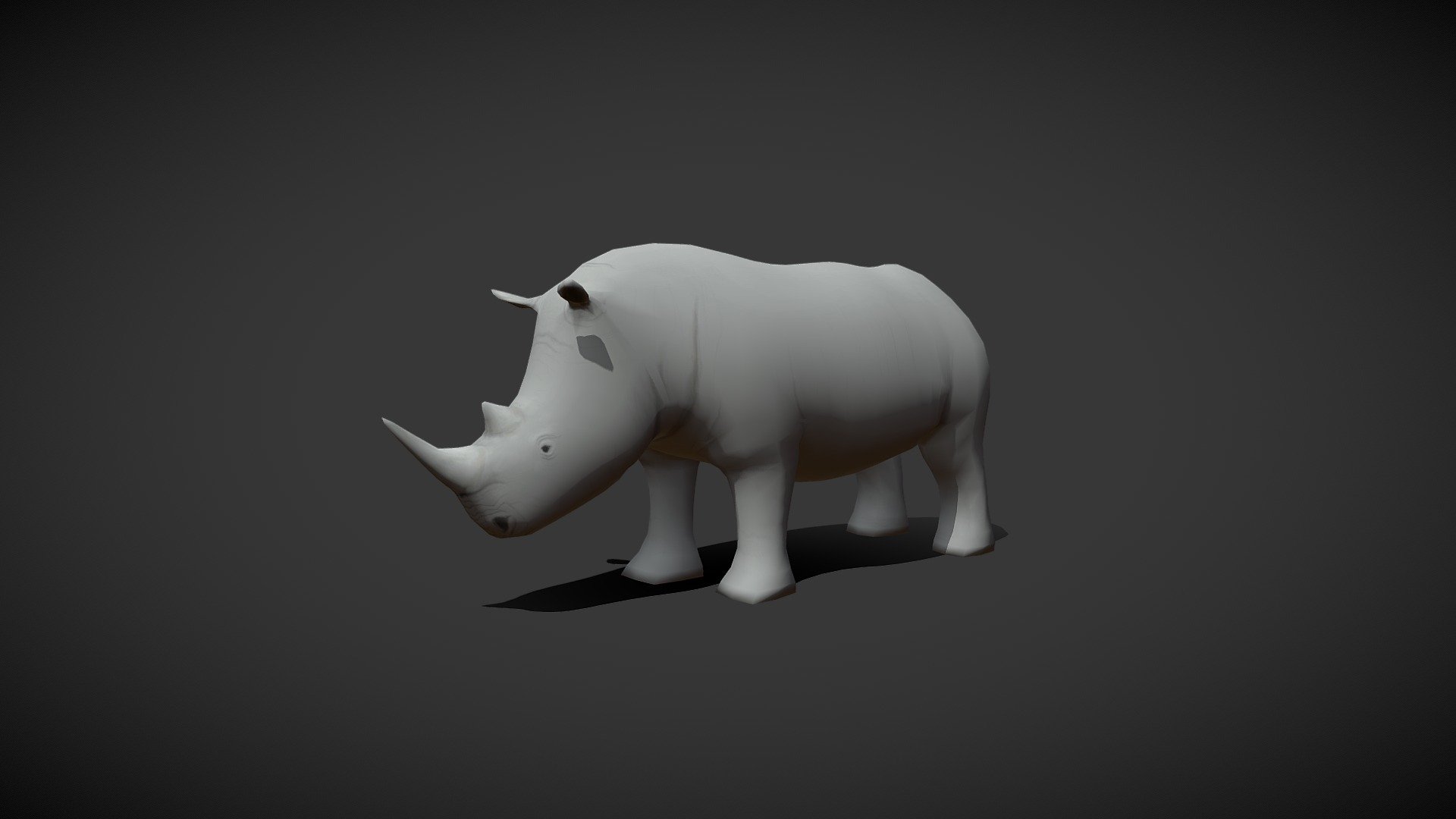 Rhinoceros