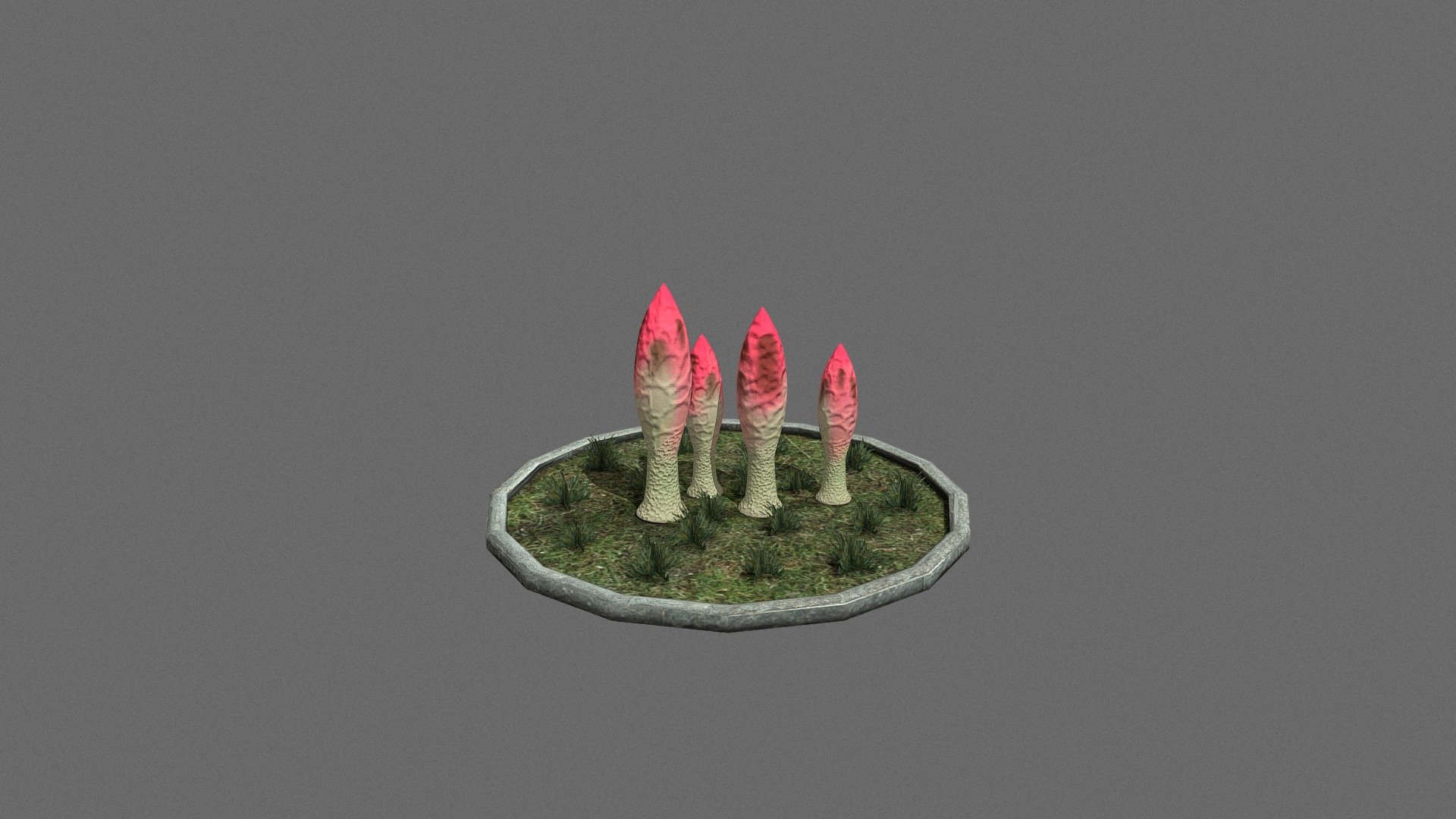 StinkHorn Mushrooms