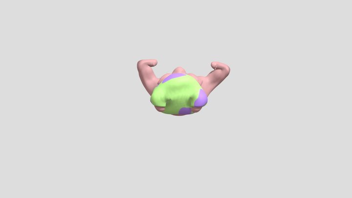 Situps 3D Model