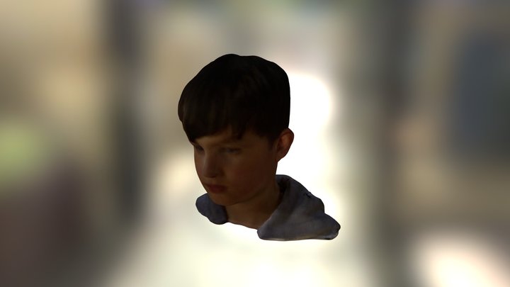 LetsBuildRobots - Felix Head 3D Model