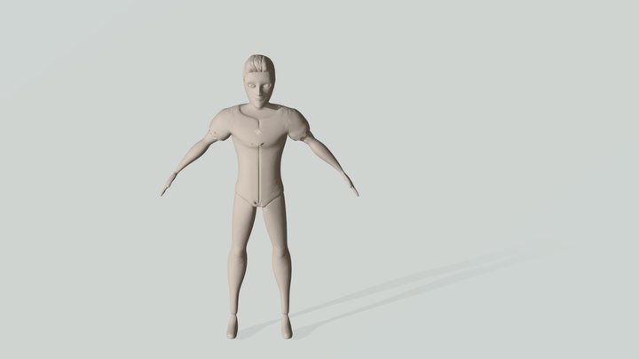 Tallys 3D Model