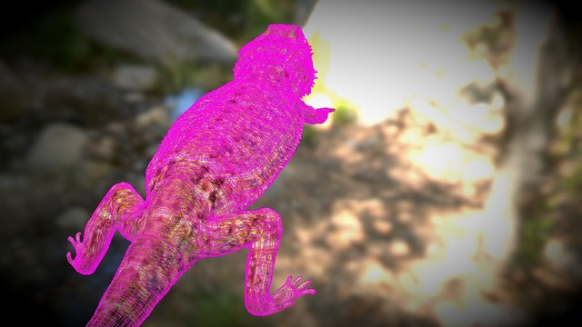 Bearded Dragon 3D Model