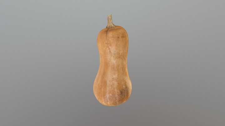 Calabaza Color 3D Model