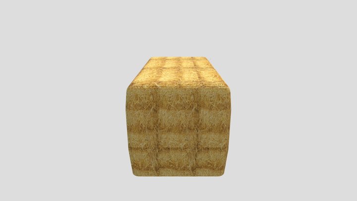 Hay bale large 3D Model