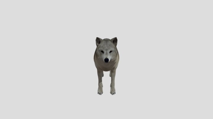 Item:Web Camera, White Wolf Wiki