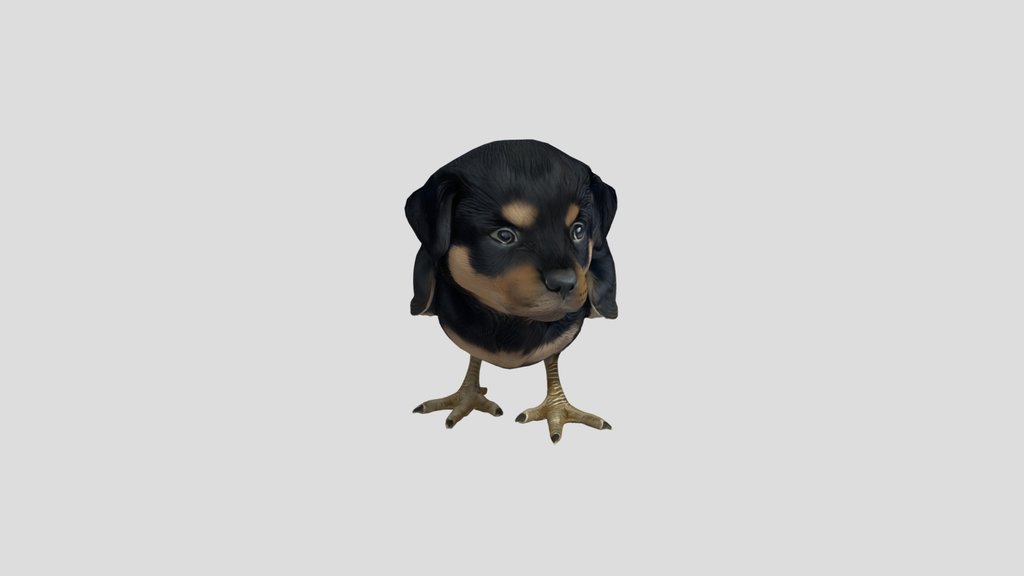 Chimera puppy-bird hybrid creature
