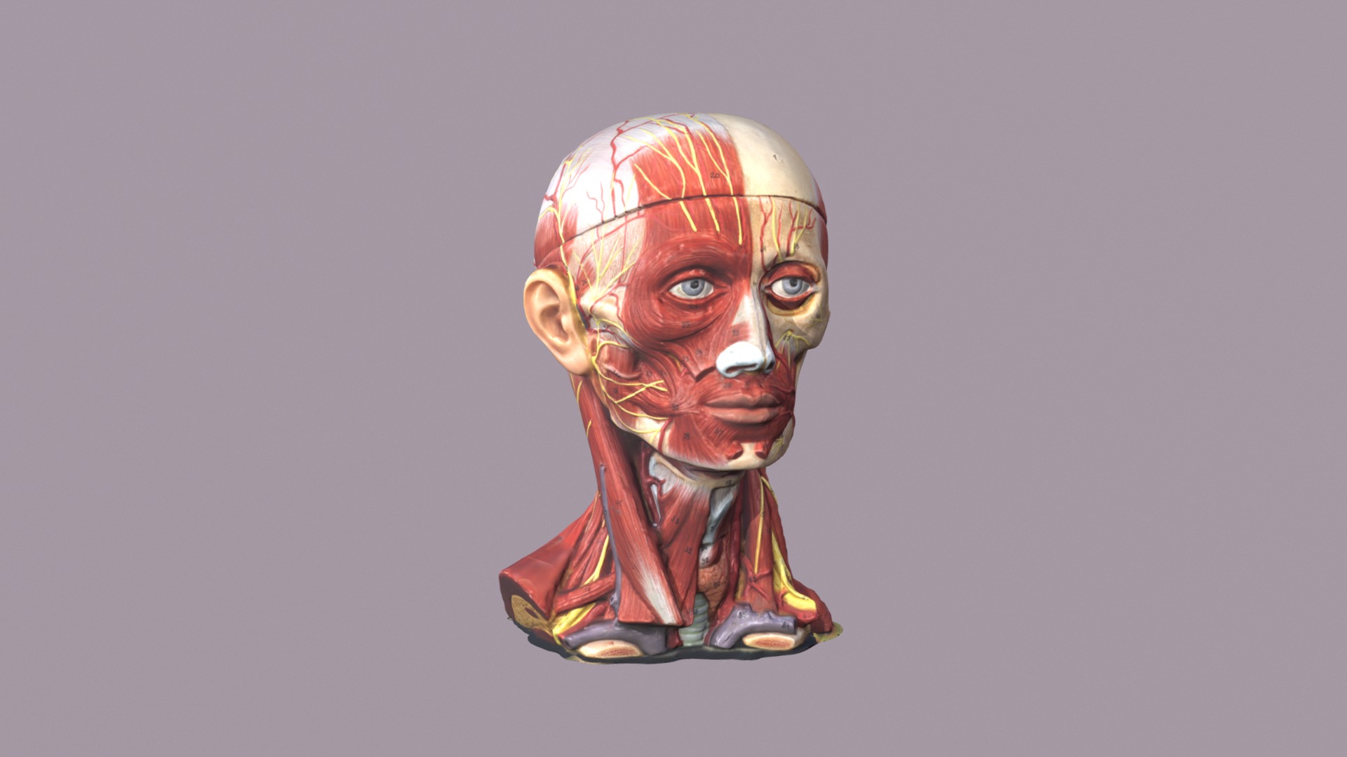 3D model Ophthalmic - This is a 3D model of the Ophthalmic. The 3D model is about a statue of a man.
