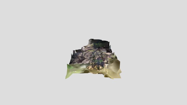 RNWS south sett area scan 2 – Modello 3D gratuito STL
