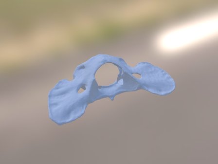 vertebra 3D Model