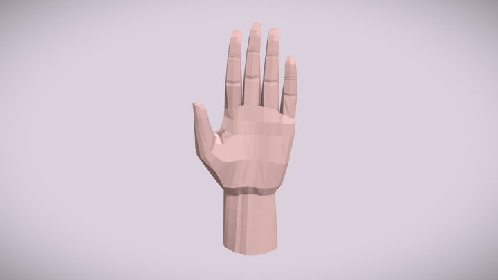 Low-poly Hand 3D Model