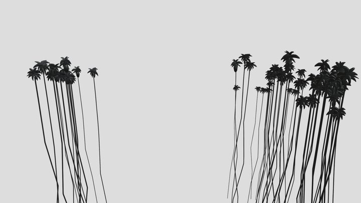 TCF 2009 Palm Trees 3D Model