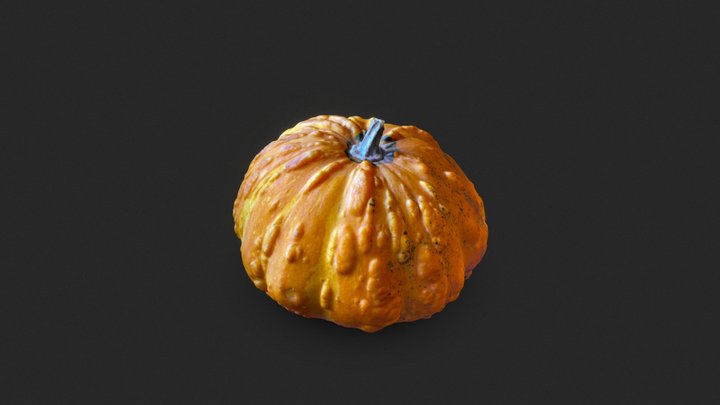 Pumpkin #1 3D Model