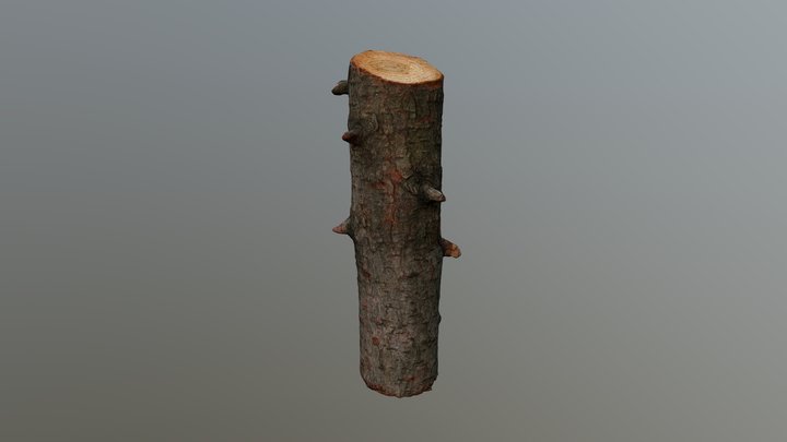 Log #3