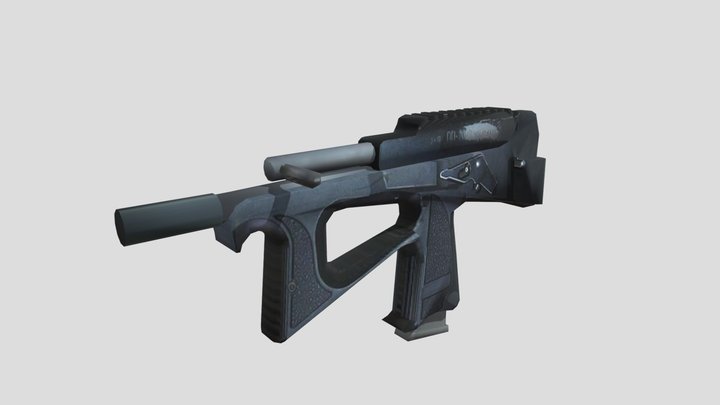 PP-2000 3D Model