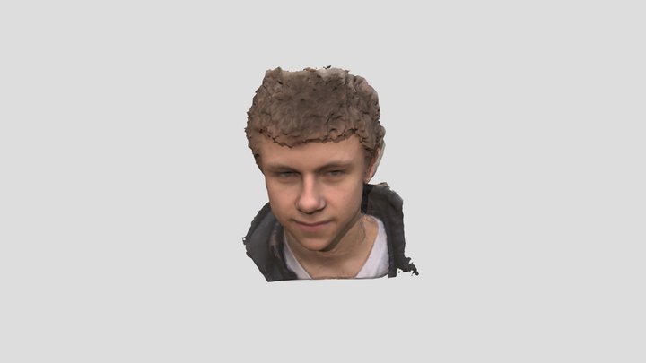 Domi 3D Model