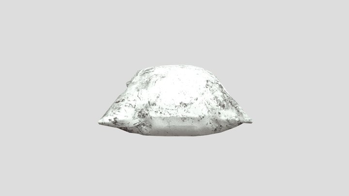 Dirty Pillow 3D Model