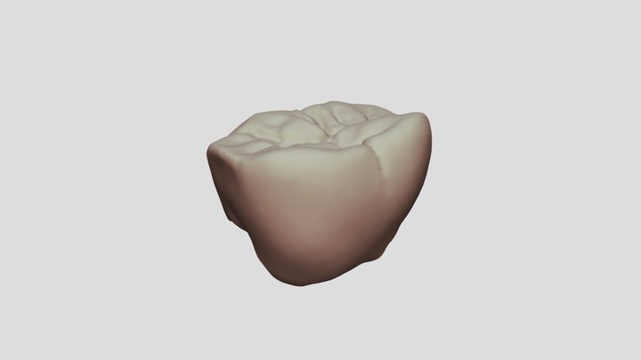 2019-12-26 358100157-36-crown Cad 3D Model