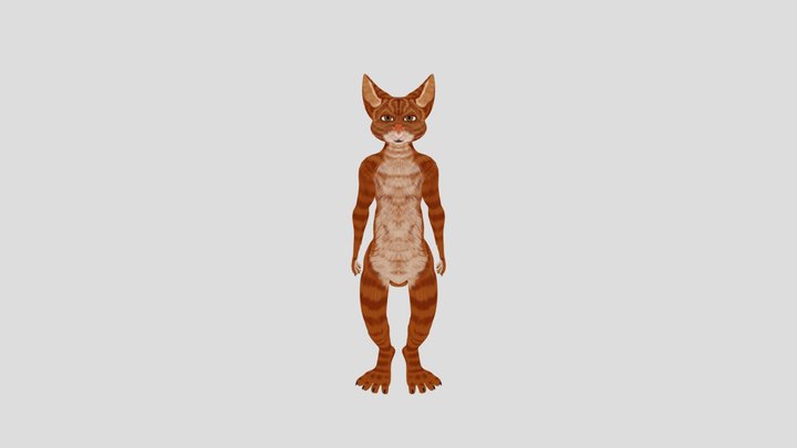 Kitku 3D Model