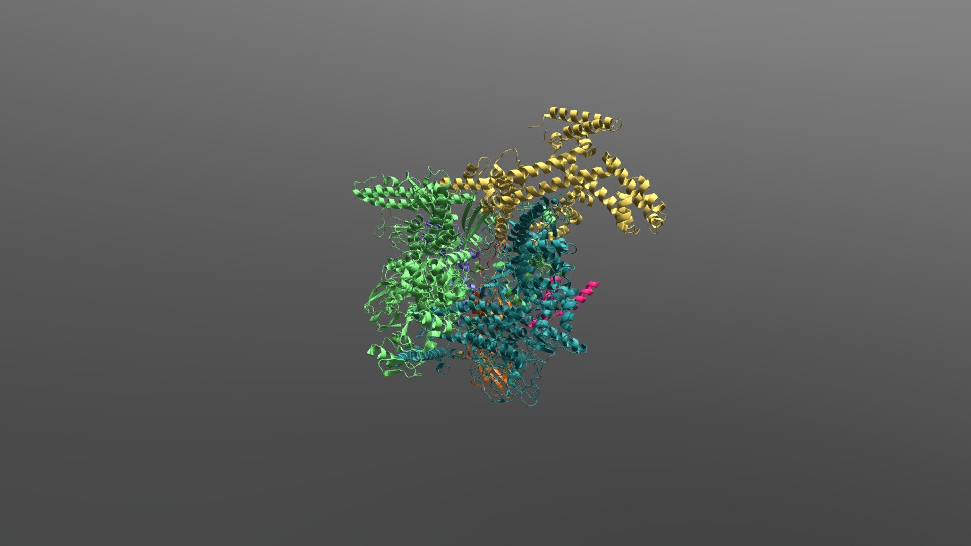 Bact RNA Pol core plus Sigma