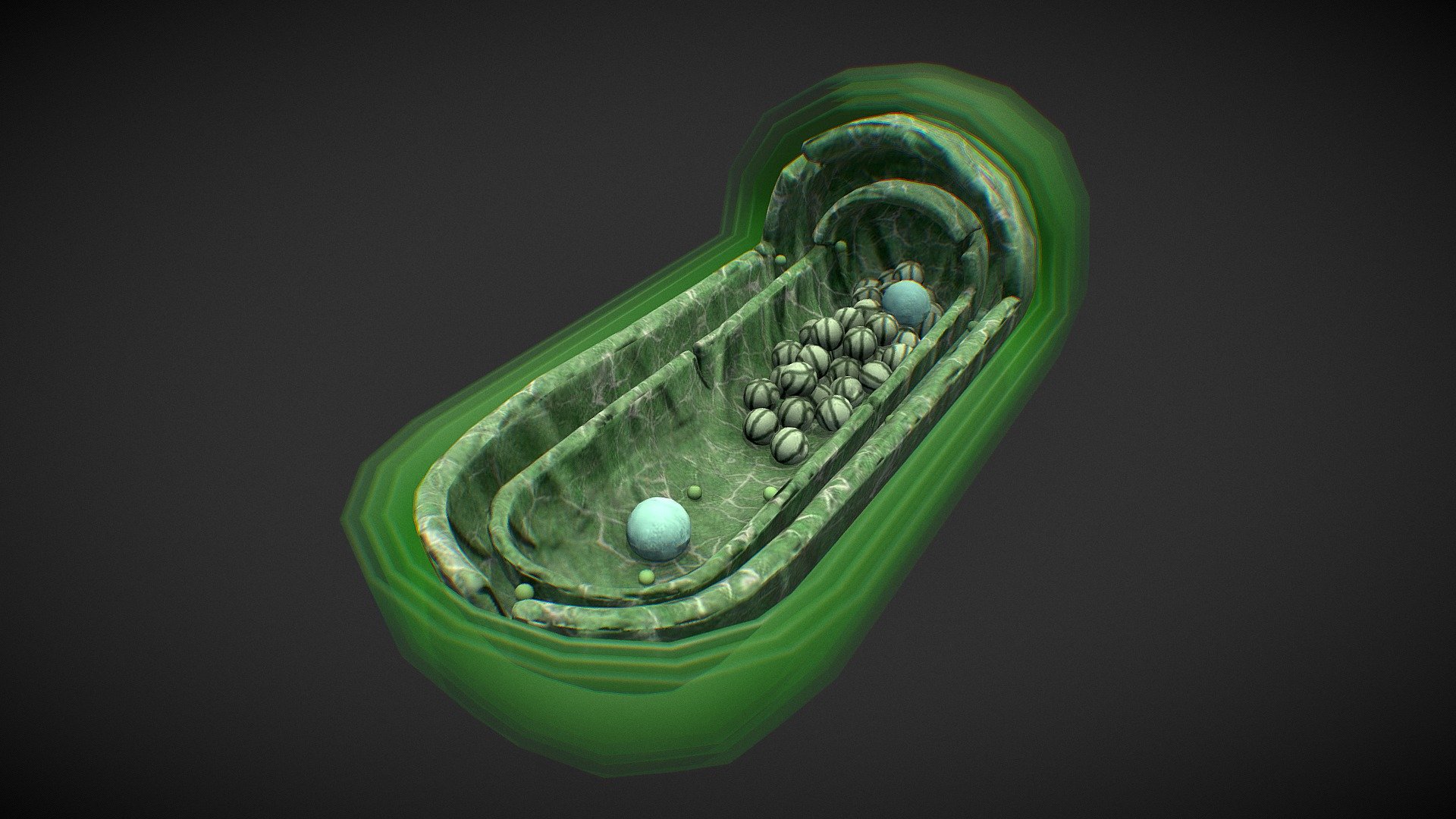 Cyanobacteria Buy Royalty Free 3d Model By Arloopa 1e08561 Sketchfab Store