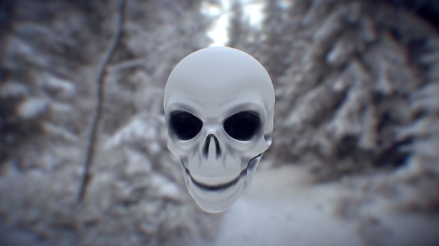 skull01 3D Model