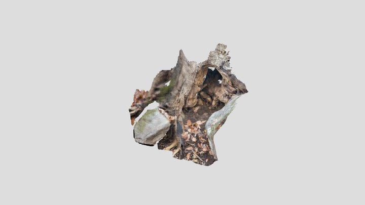 Untitled Scan 3D Model