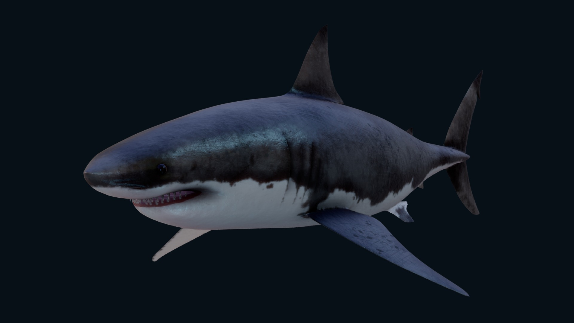 3D model Shark - This is a 3D model of the Shark. The 3D model is about a fish in the water.