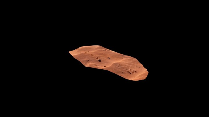 Rodent tracks in the sand 3D Model