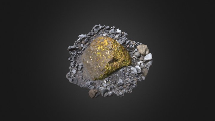 Icelandic_ Mossy_ Rock_lkpo 3D Model