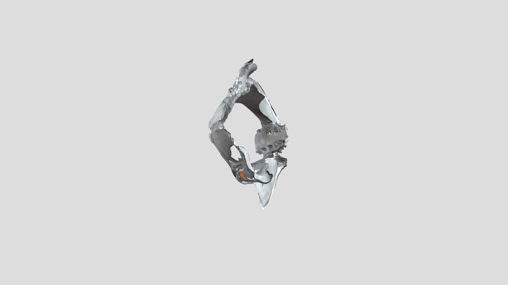 UNC_Scan_30