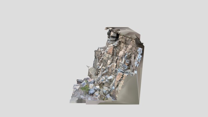 Little Silver Cut cliff scan 01 3D Model