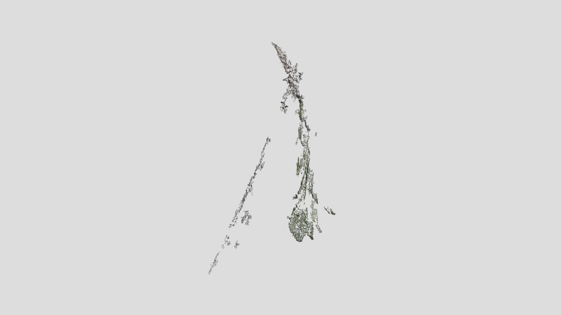 Treebudtest1 0
