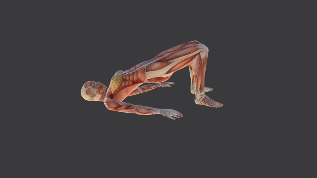 Bridge - 3D model by Yoga Barbarians (@murverine) [1e2477a] - Sketchfab