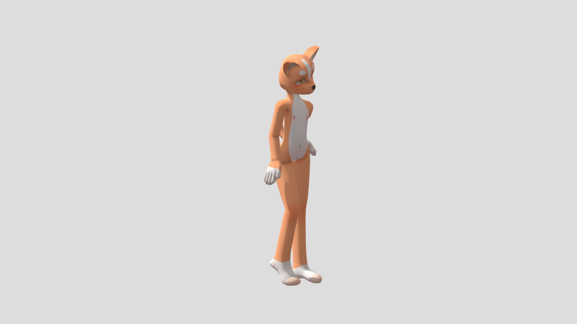 Prototype Animation Cycles - 3D model by rau-connect [1e24e96] - Sketchfab