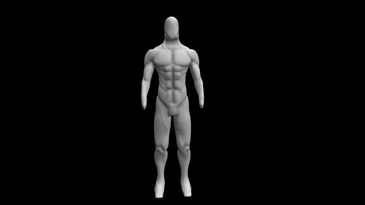 Anatomy attempt 1 3D Model