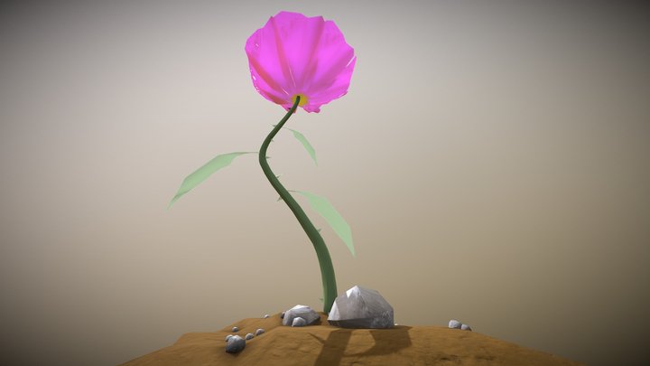 Flower Of December 3D Model