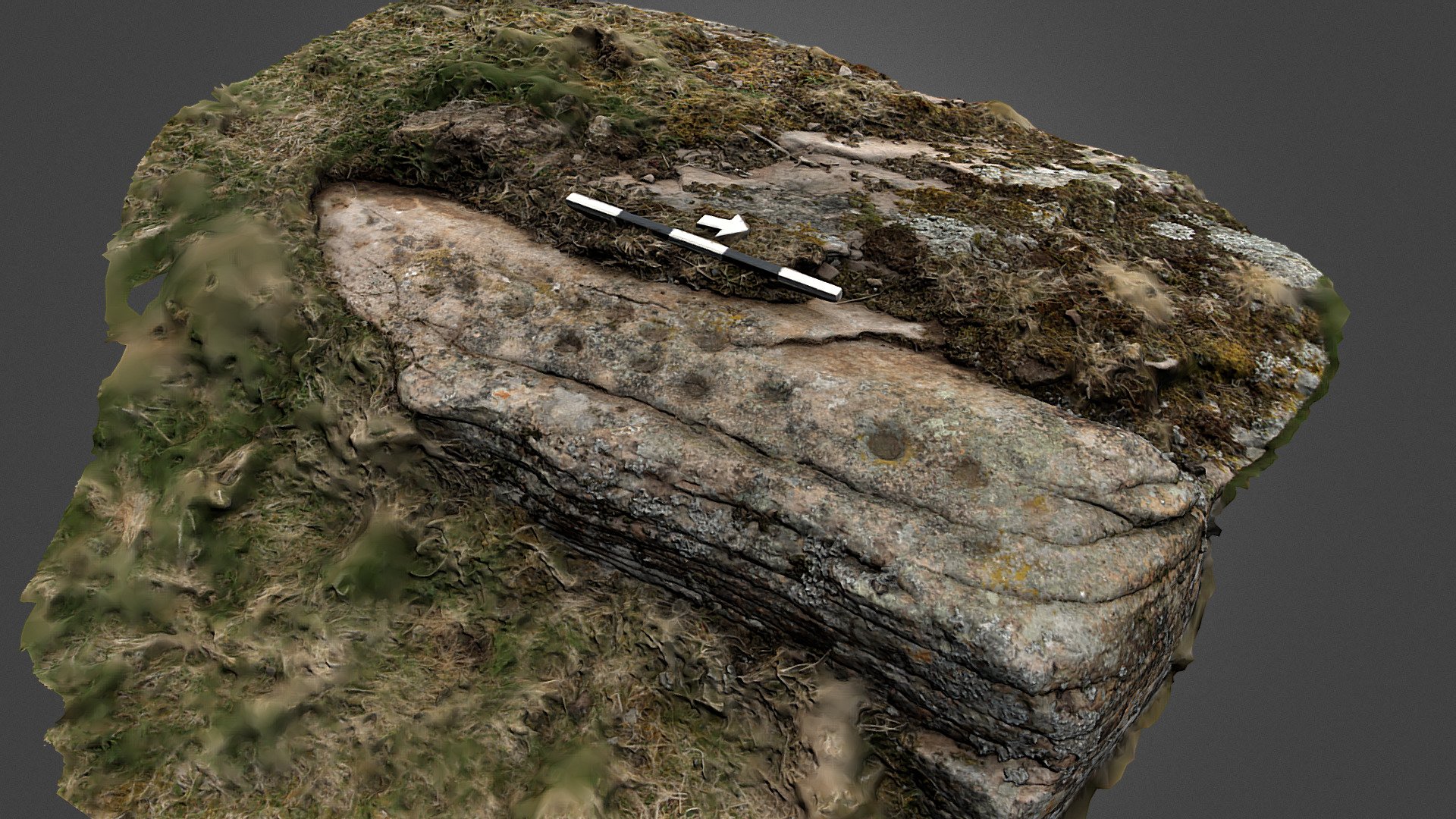 Wester Denoon cup marked outcrop