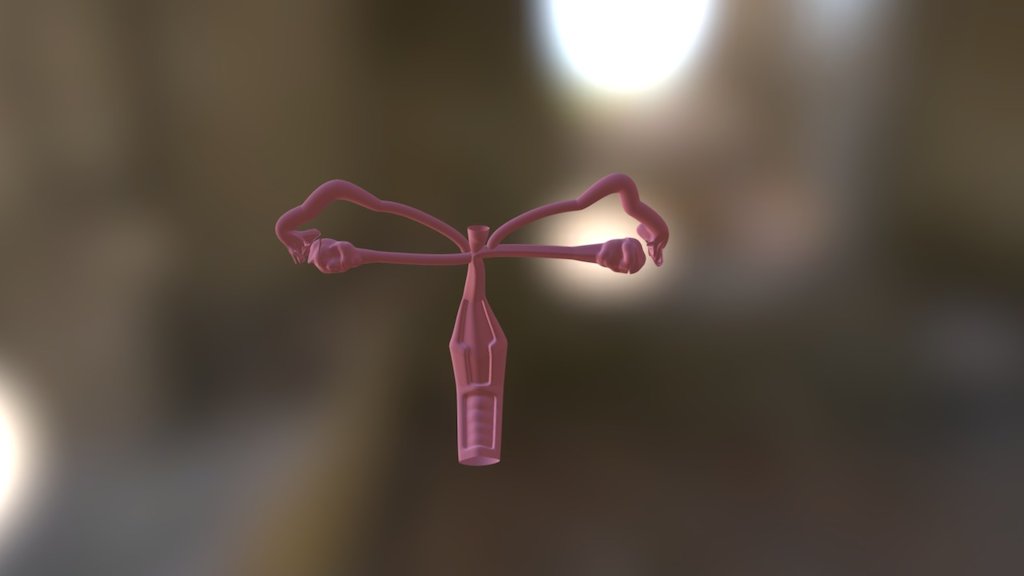Animasi Organ Perempuan 1