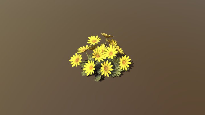 Flower Bush 3D Model