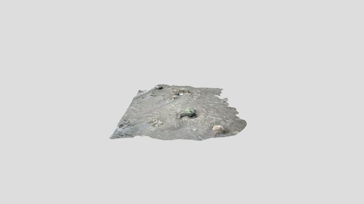 Obstacle scoure 3D Model