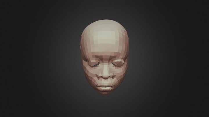 face 3D Model