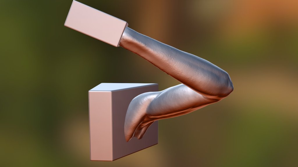 SculptJanuary#2 Arm