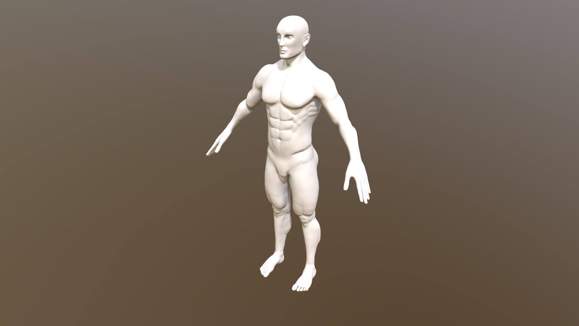 Anatomy Study - Male Bodybuilder