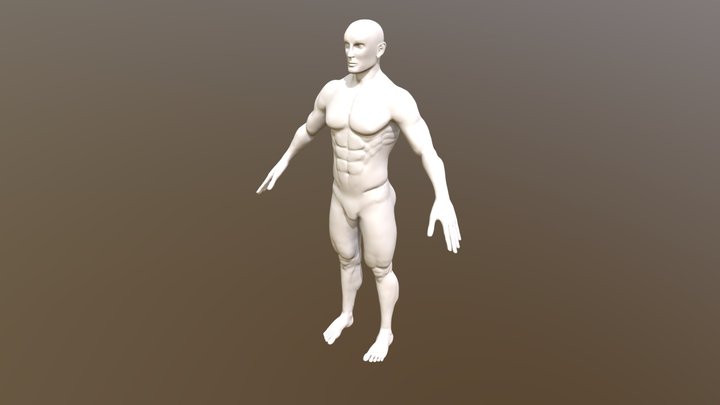 Anatomy Study - Male Bodybuilder 3D Model