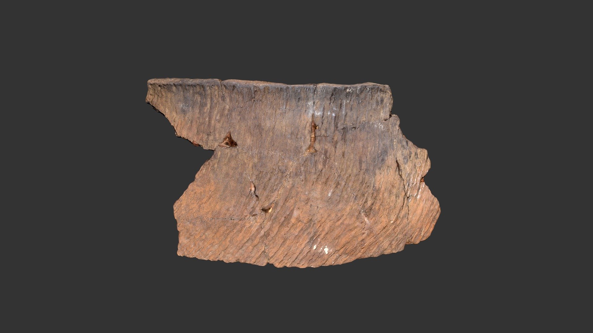 Uwharrie Cord Marked Jar Rim (309p1)