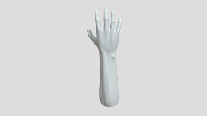 The arm 3D Model