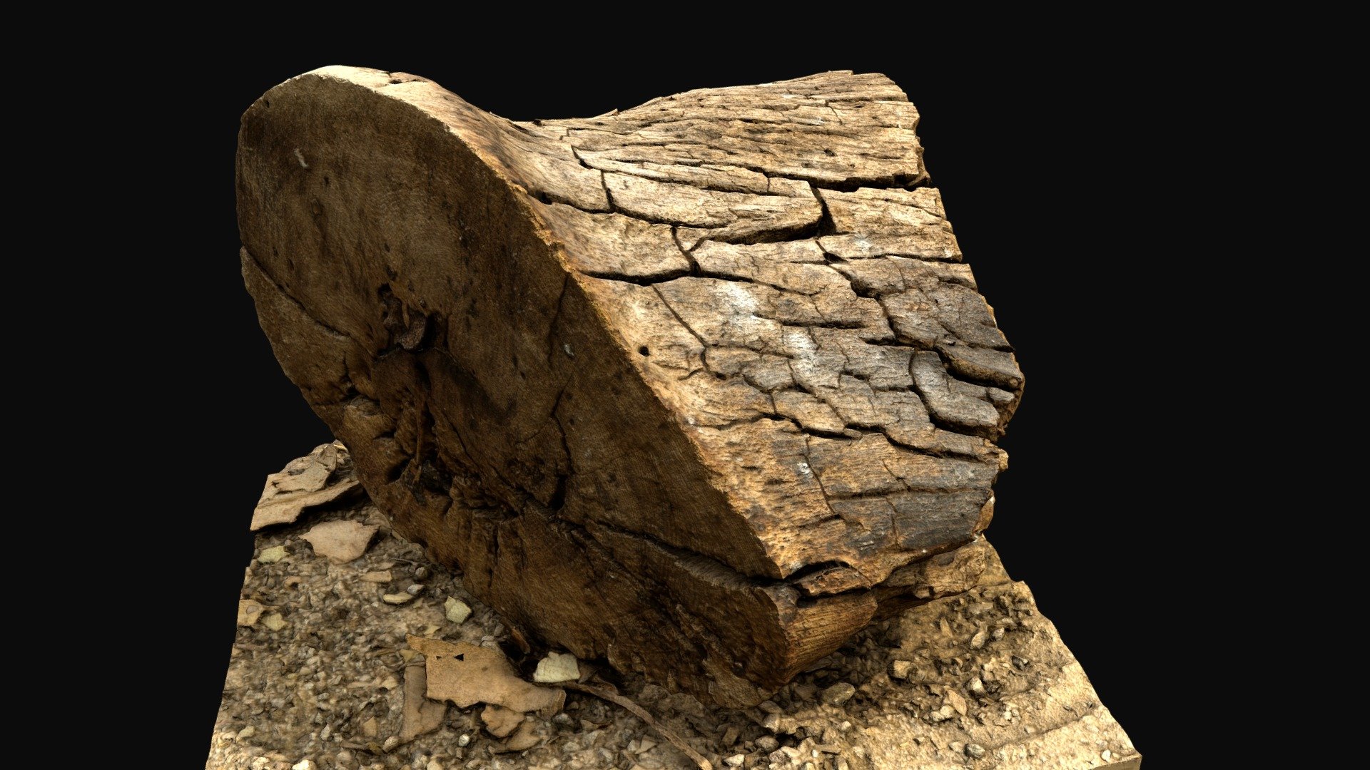 Log Study Little - 3D model by R_Pearce [1e30600] - Sketchfab